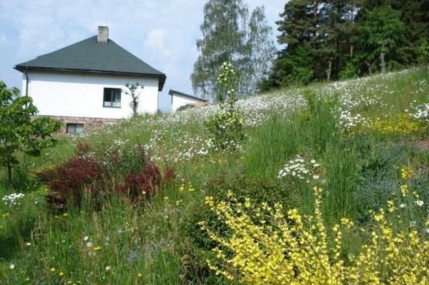 Villa "Na Hora" mit Garten, Grill und Terrasse - foto 3