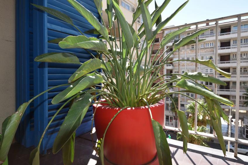 Le Gambetta - foto 10