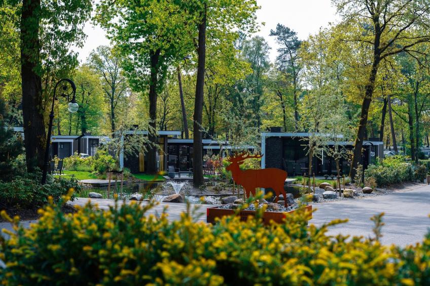 Vakantiepark de Woeste Hoogte 2 - foto 14