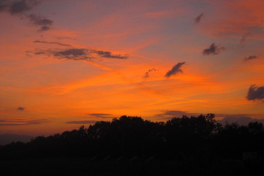 Sonnenblume Wohnung - foto 50