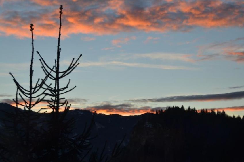 Appartement Murtalblick in Pöls - foto 26