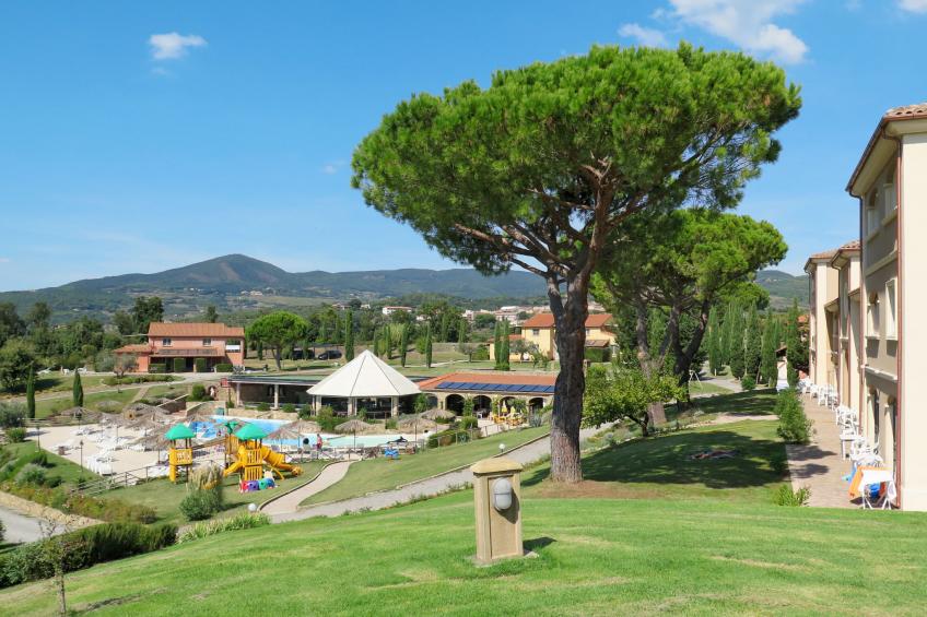 Il Felciaione - foto 24
