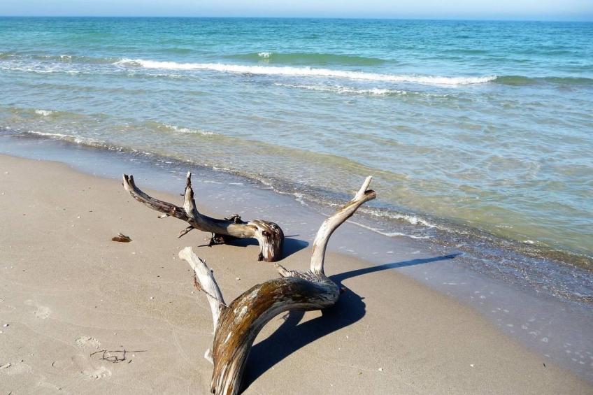 Wiesenblick 5 - foto 33