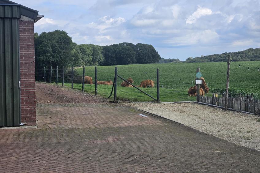 Logeren bij Laura - foto 37