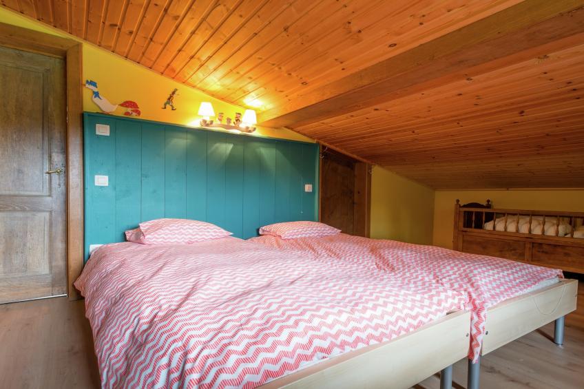 Red Hazels - foto 12