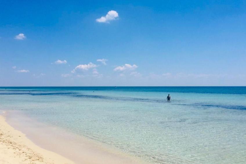 Villa Vittoria - foto 4