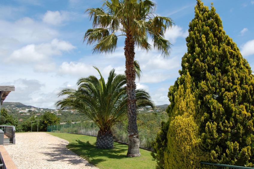 Villa Monte Alegrete - foto 60