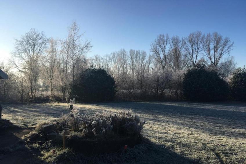 Vakantiepark Hessenheem 3 - foto 24