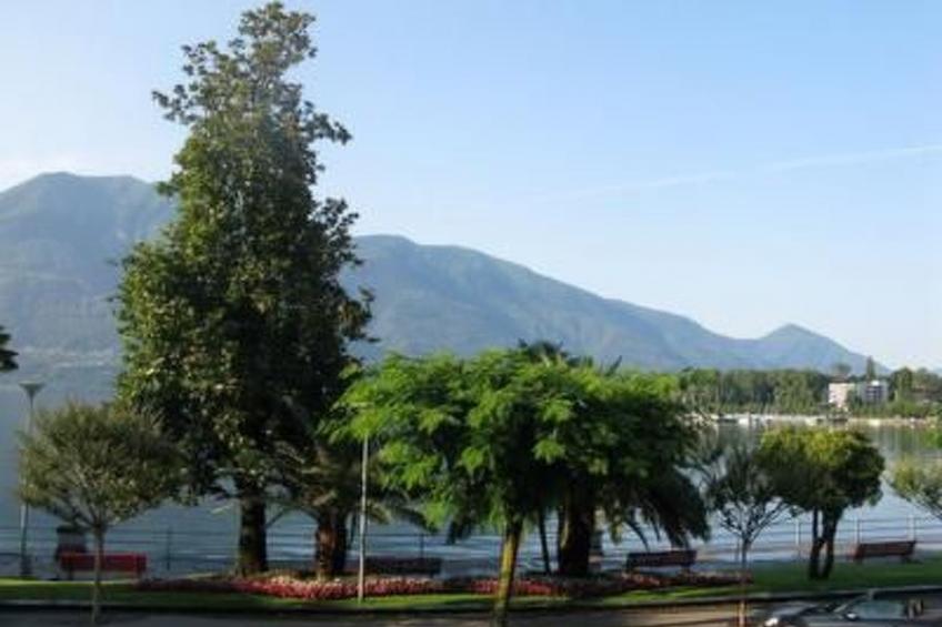 Haus am See - foto 6