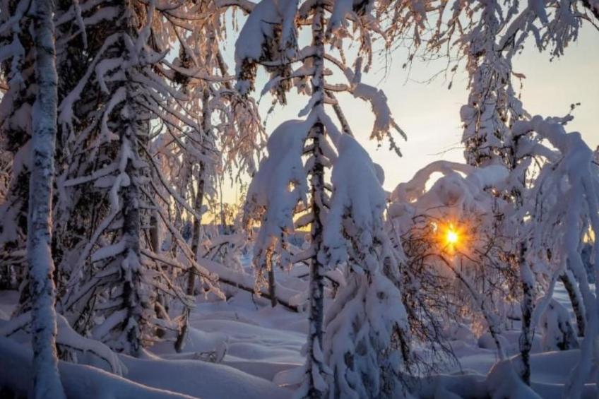 Gemütliches Ferienhaus in der Wildnis Lapplands - foto 10