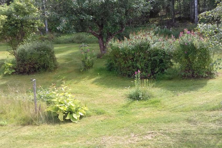 Haus am Waldrand - foto 25