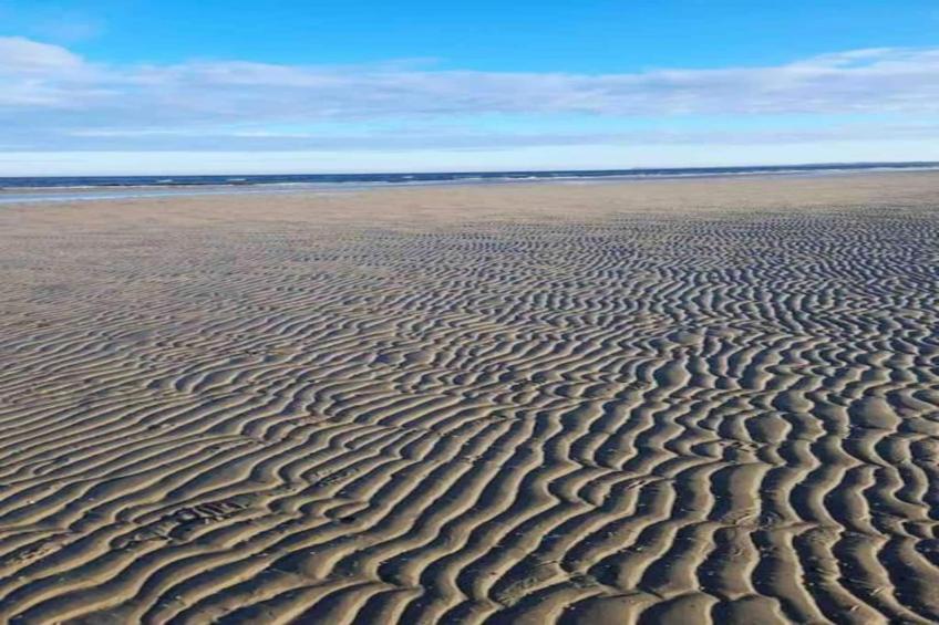 Bungalowanlage Gänseblümchen 7 - foto 24