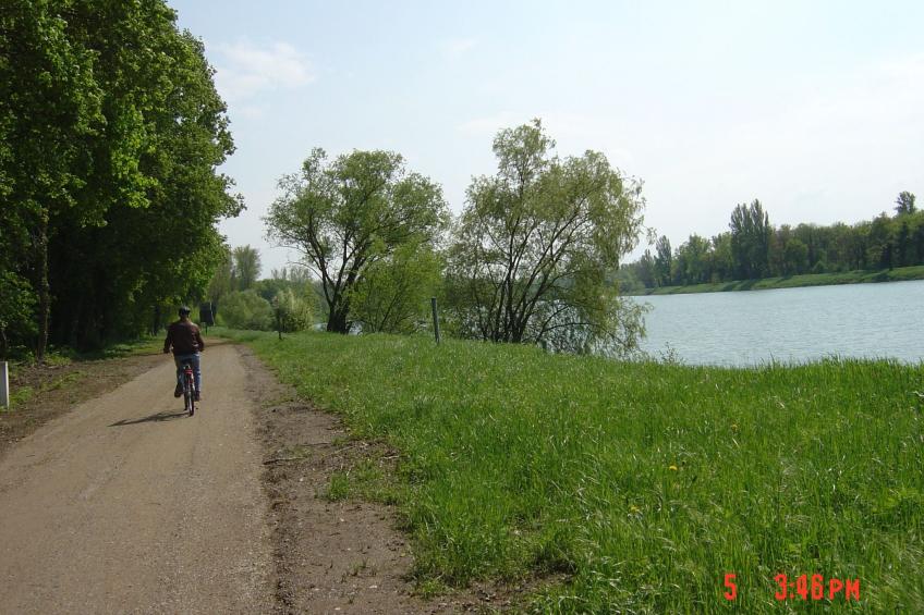 direkt am Rhein - foto 12