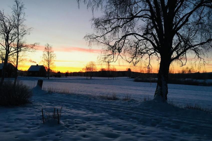 Haus Gård Solhag - foto 43