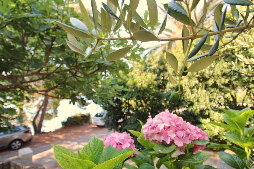 Apartment Kim- Two Bedroom Apartment with Terrace and Sea View - foto 14