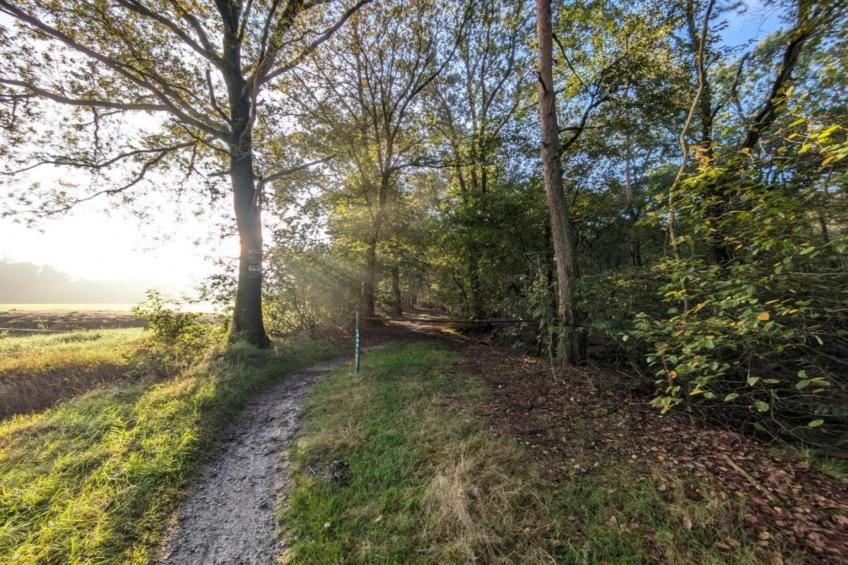 Park Haarle - foto 17