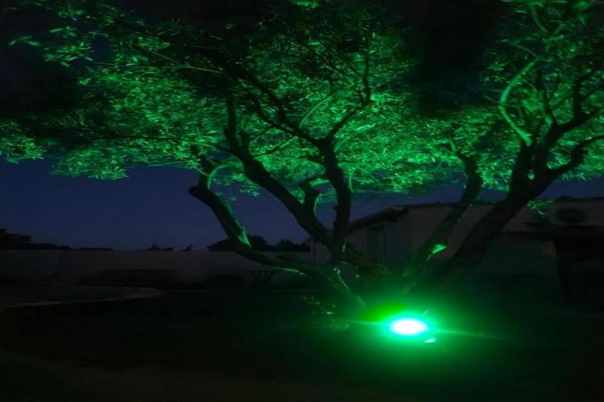 Maison de vacances - LE THOR - foto 38