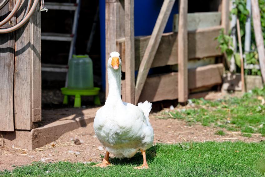 Helmut Epting - foto 27