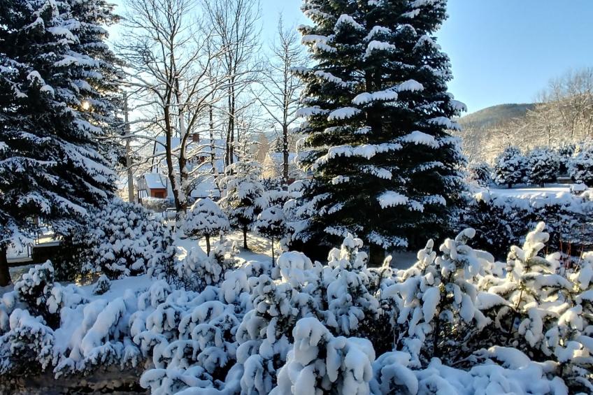 Wohnung Nr. 2 - foto 19