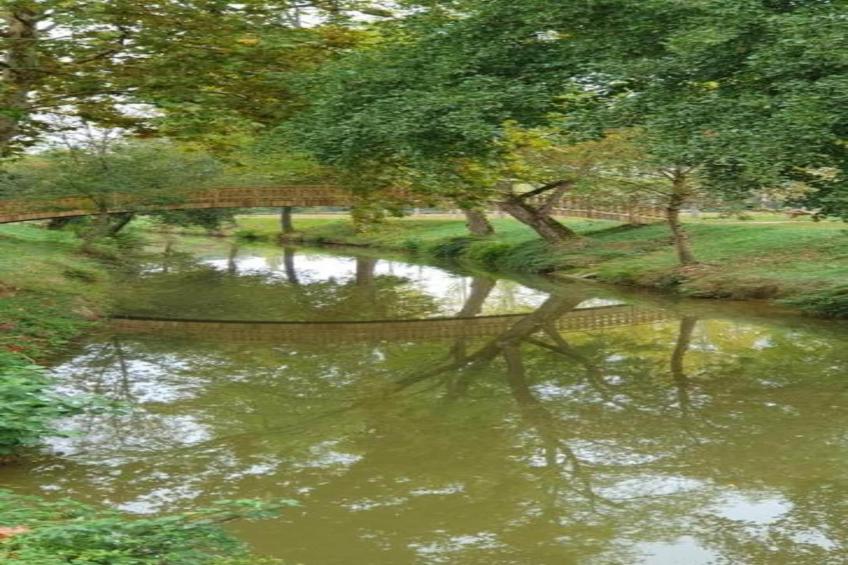 Ecolodge en Sequoia - foto 19