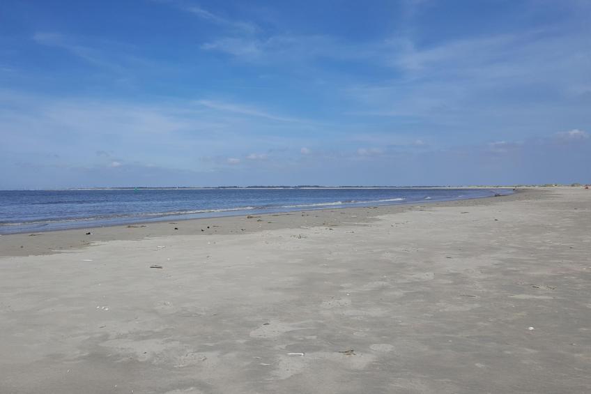 Tiny House Jet - foto 23