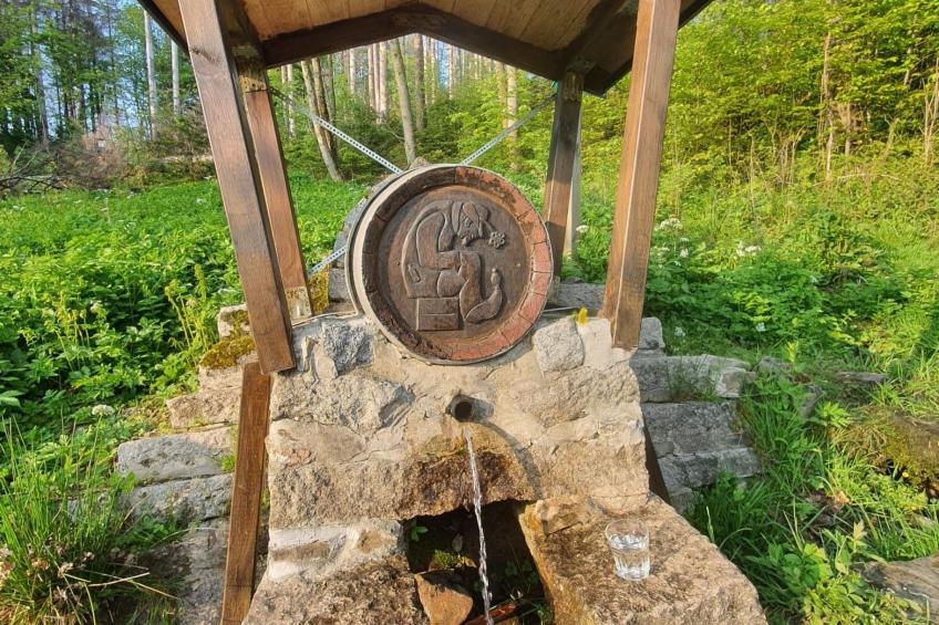 Superior Komfort Suite mit Wallbox - foto 19