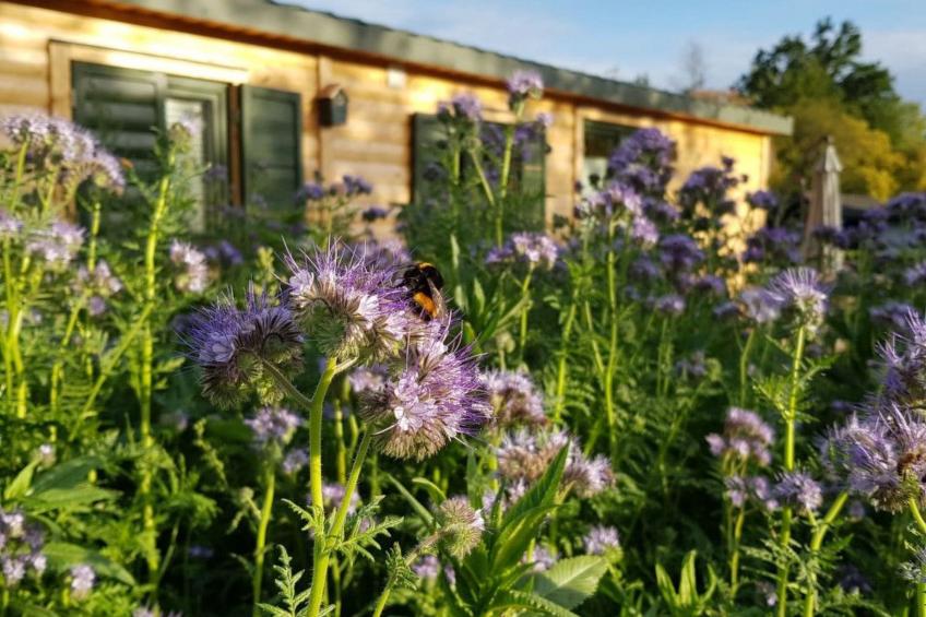in Atzenhain mit Großer Terrasse - foto 11