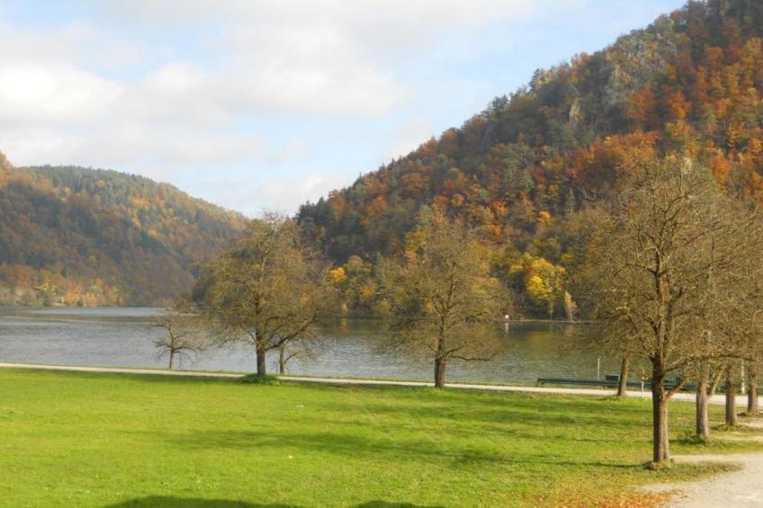 Thüringer Ferienhäuschen - foto 39