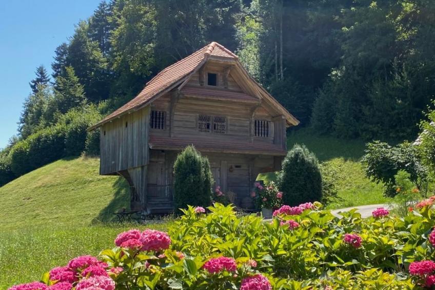 Altes Bauernhaus 1793 in Willisau - foto 16