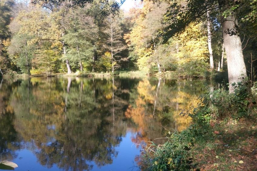 Alte Apotheke - foto 13