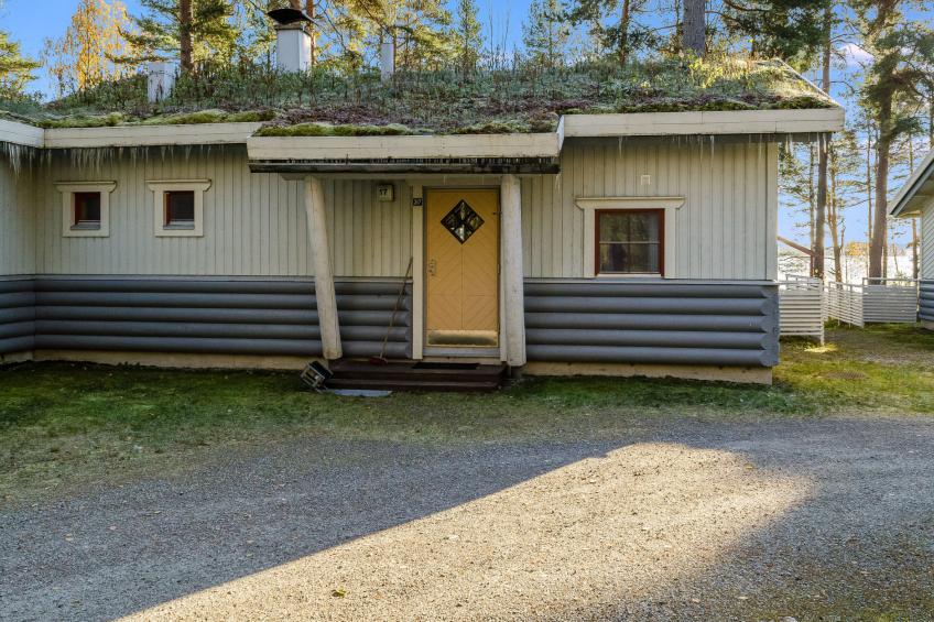 Kulta-käkönen 17 by bomba - foto 17