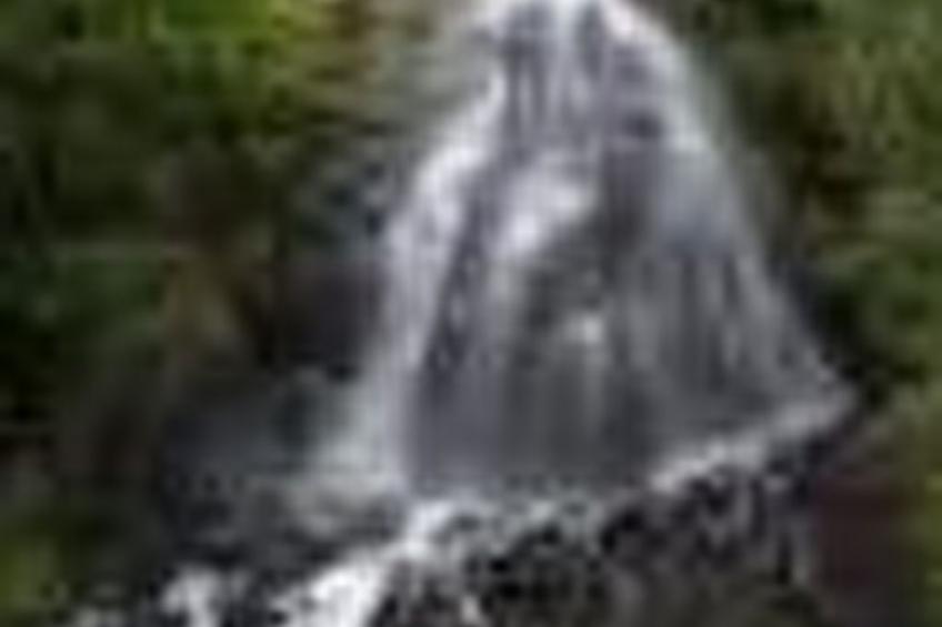 für Naturliebhaber im Trusetal - foto 13