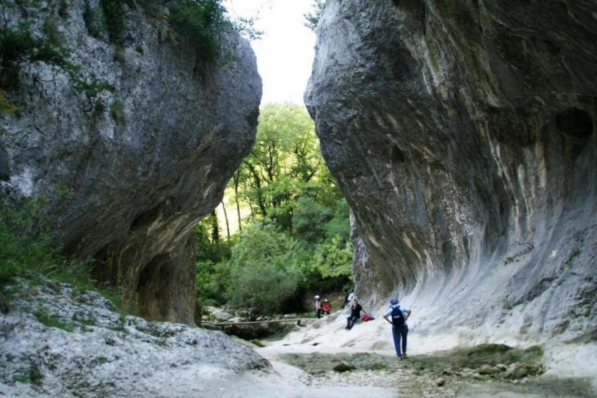 L'Oliveraie - foto 38