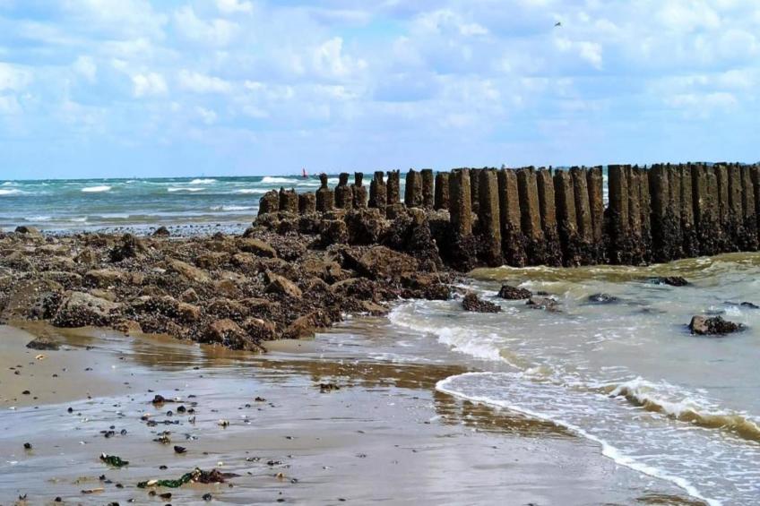 Largo Noordzee Resort Vlissingen 2 - foto 24