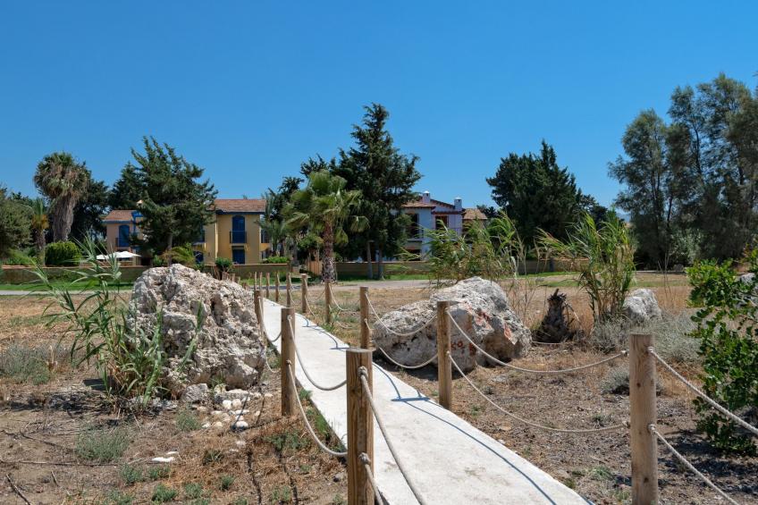 in Polis Chrysochous mit Offenem Kamin - foto 30