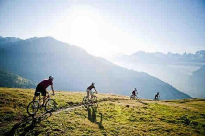 Mayens de l'Ours AZ 032 - MOUNTAIN apartment 6 p - foto 24