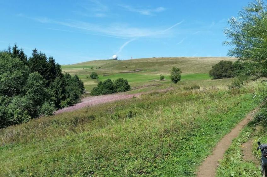 Gemütliches Ferienhaus Bungalow SixtyTwo - foto 23