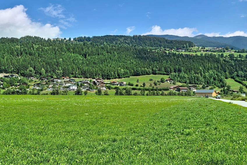 Mitteregg (MII350) - foto 46