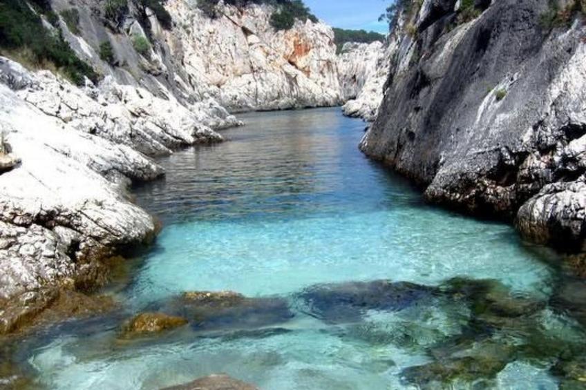 Haustierfreundliches Apartment, mit Meerblick - foto 12