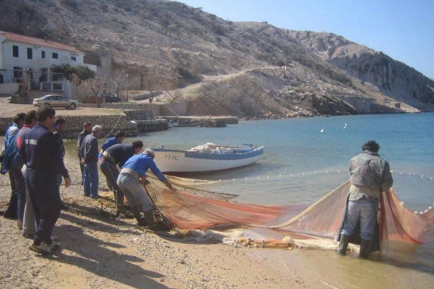 mit Blick auf das Wasser - foto 13