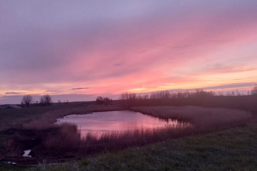 Buurtweg 75 - foto 28