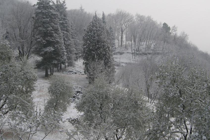 Niederwaldhaus in Solto Collina - foto 15