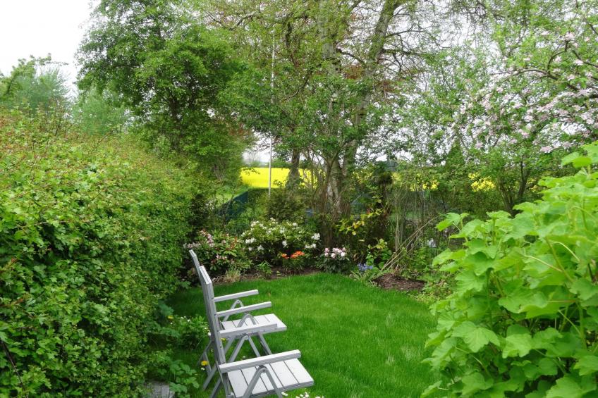 Geltinger Birk - foto 16