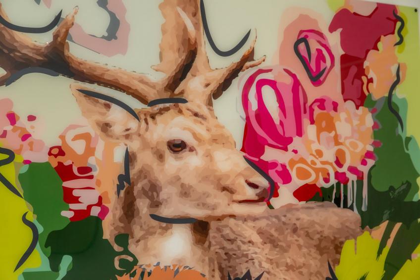 Chalet - Camping de Duinhoeve 'Bosdier' - foto 90