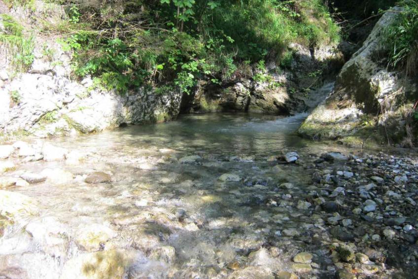 Geräumiges Ferienhaus inmitten der Natur - foto 6