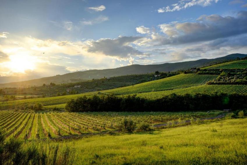 Saliceto Bilocale - foto 26