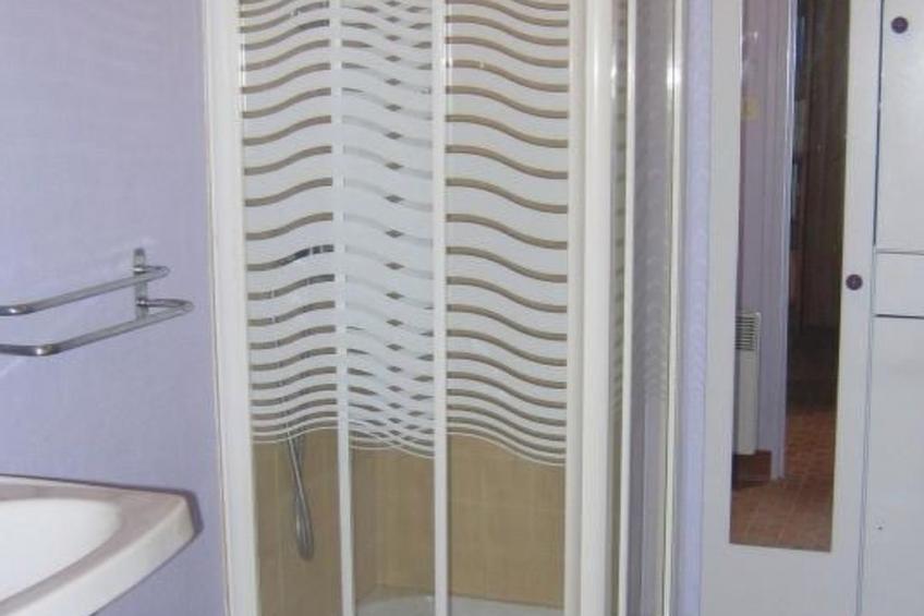 "Les Hortensias" (Die Hortensien) - foto 18