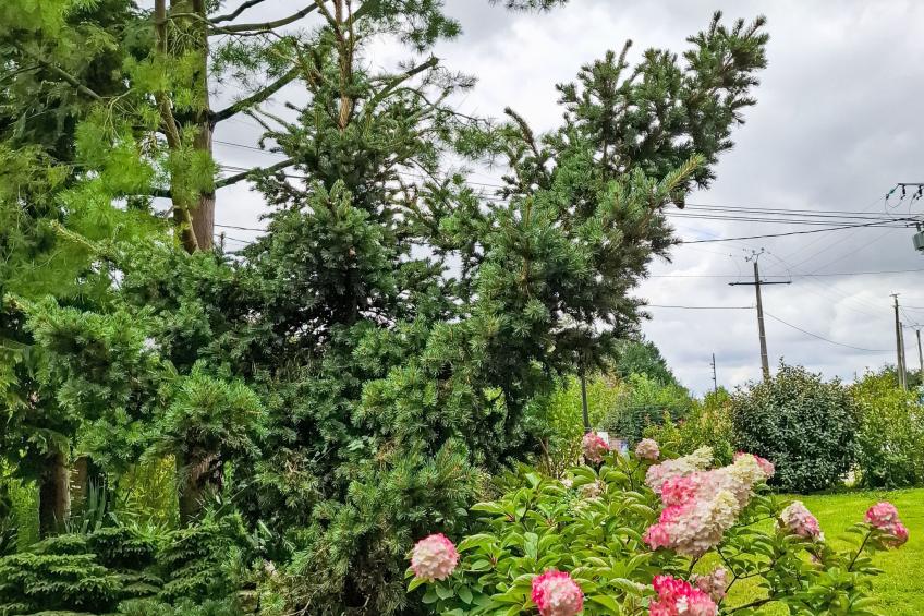 mit großem Garten in La Prée - foto 19