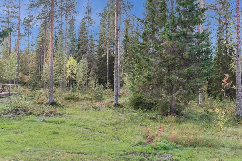 Villa tassu 2 - foto 20