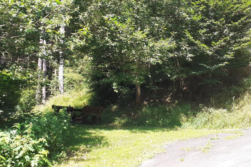 für 9 Personen im Thüringer Wald - foto 37